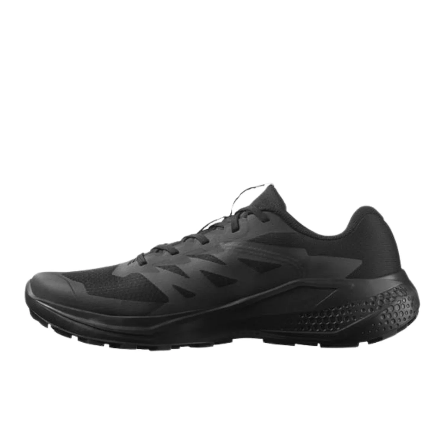Salomon Alphaglide Erkek Patika Koşusu Ayakkabısı — görsel 3