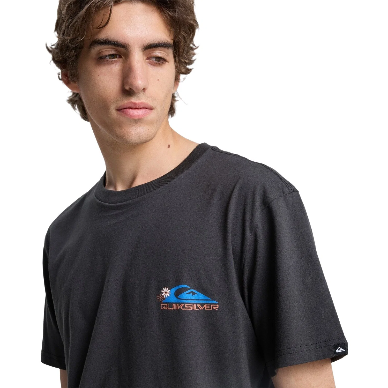 Quiksilver Ev Barrel Parad Erkek Gri Tişört — görsel 4