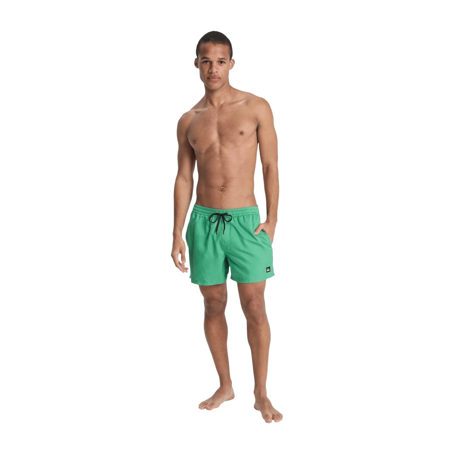 Quiksilver Everyday Deluxe 15" Erkek Deniz Şortu — görsel 4