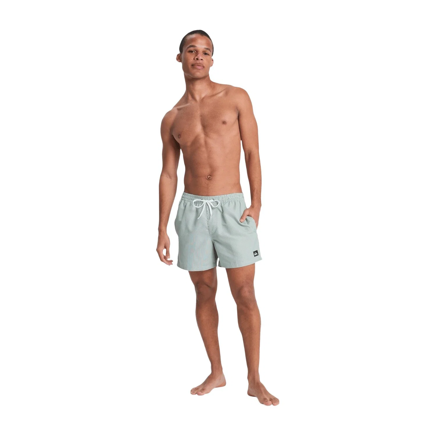 Quiksilver Everyday Deluxe Volley 15 Erkek Şort Mayo — görsel 4