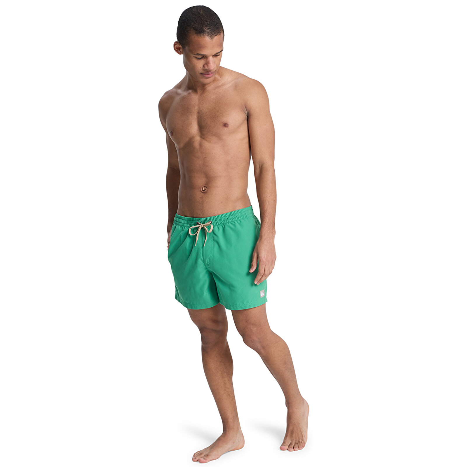 Quiksilver Everyday Solid Volley 15" Erkek Yeşil Şort Mayo — görsel 6