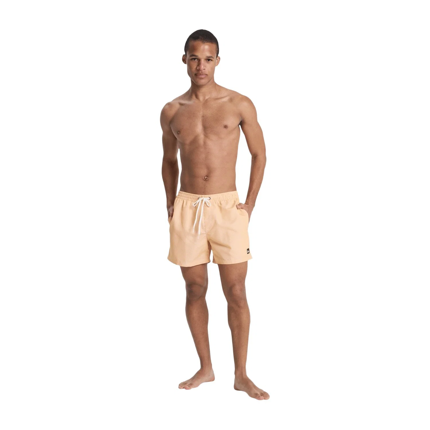 Quiksilver Everyday Deluxe 15" Erkek Deniz Şortu