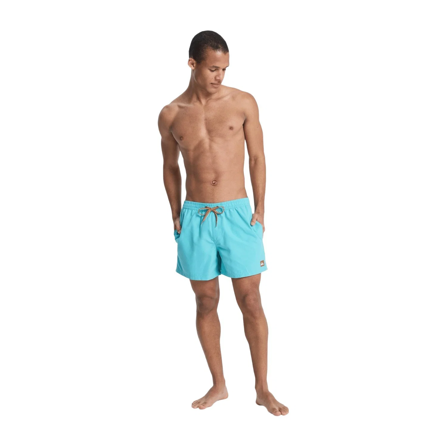 Quiksilver Everyday Solid Volley 15" Erkek Deniz Şortu