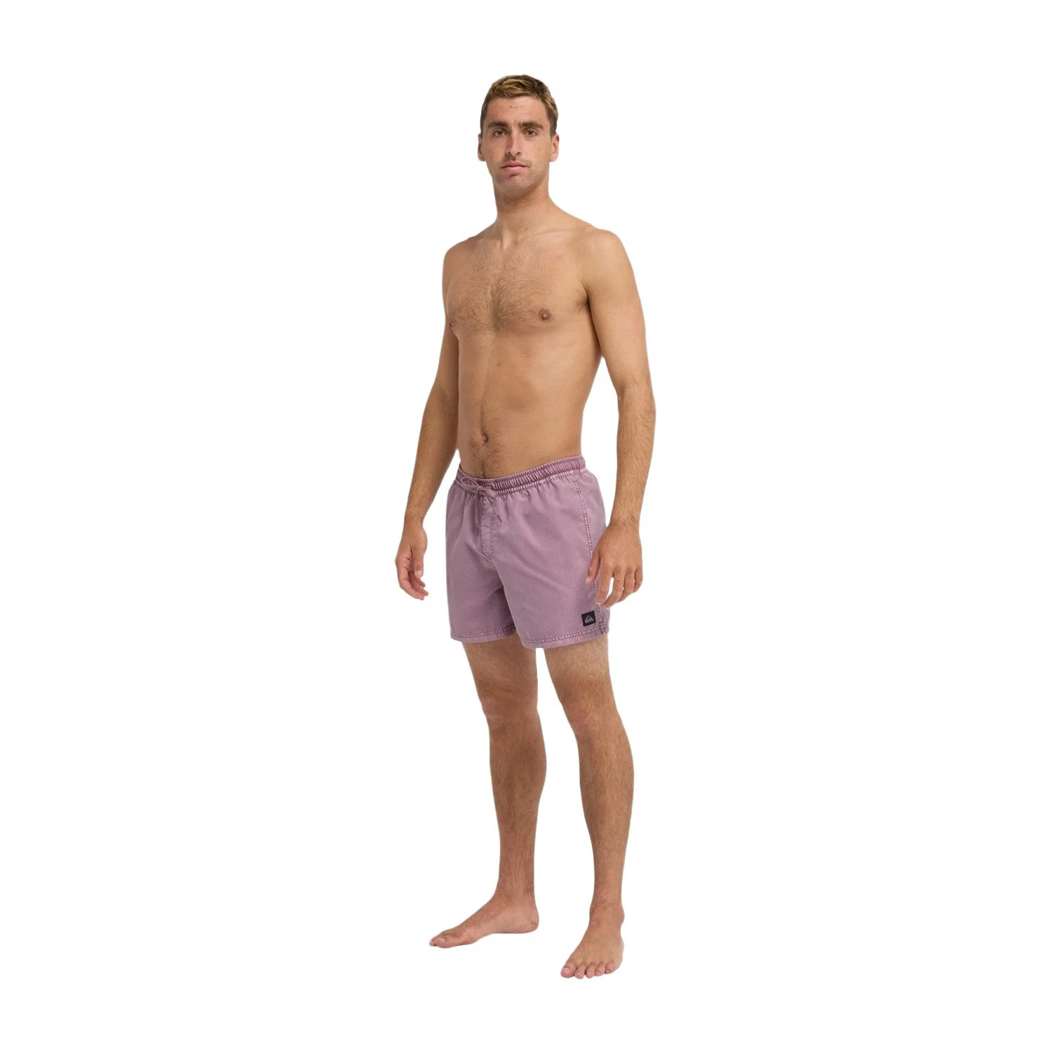 Quiksilver Everyday Surfwash Volley 15" Erkek Deniz Şortu — görsel 4