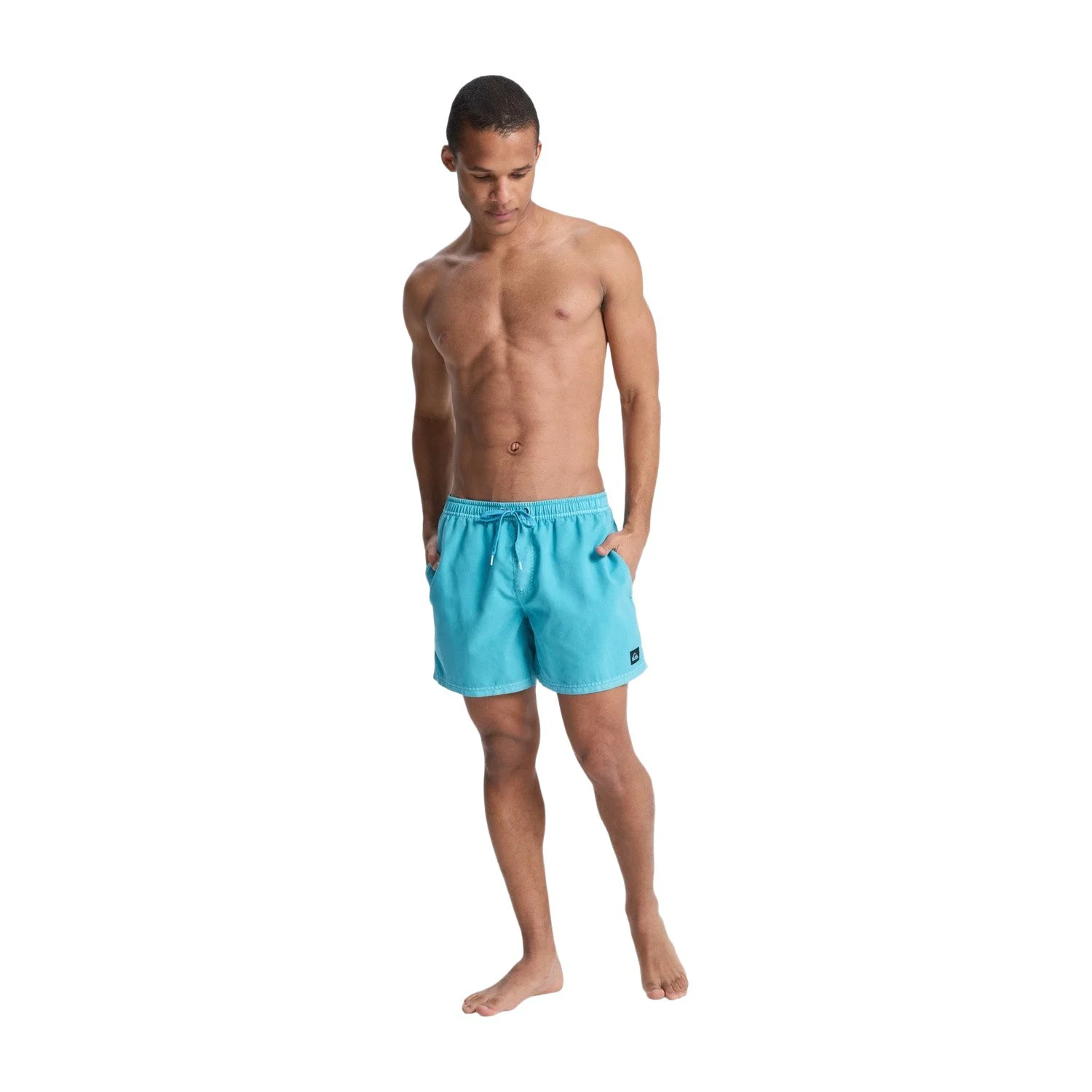 Quiksilver Everyday Surfwash Volley 15" Erkek Deniz Şortu Mavi — görsel 5