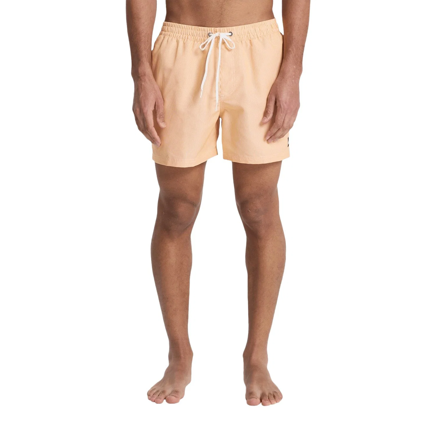 Quiksilver Everyday Deluxe 15" Erkek Deniz Şortu — görsel 3