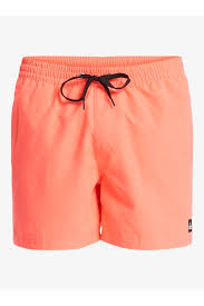 Quiksilver Everyday Solid Volley 15 Erkek Deniz Şortu — görsel 5