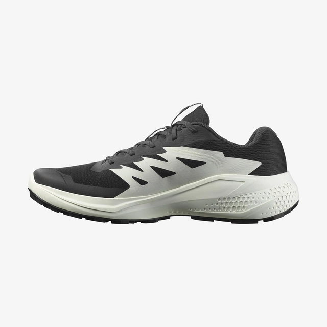Salomon Alphaglide Erkek Patika Koşu Ayakkabısı — görsel 2